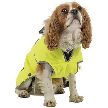 Muddy paws coats for dogs Clearance