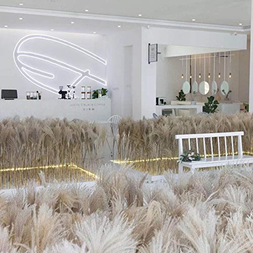 Natural Dried Flowers Bundles - Natural Dried Pampas Grass Brown Bouquet Boho Decoration for Home Decoration, Photo Props - Dried Bunny Tails Pampas for Flower Arrangements Wedding Home Decor (30Pcs)