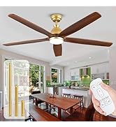 CasaFan Ceiling Fan 315235 ECO GENUINE 152 Cm Motor Colour | WhichOne