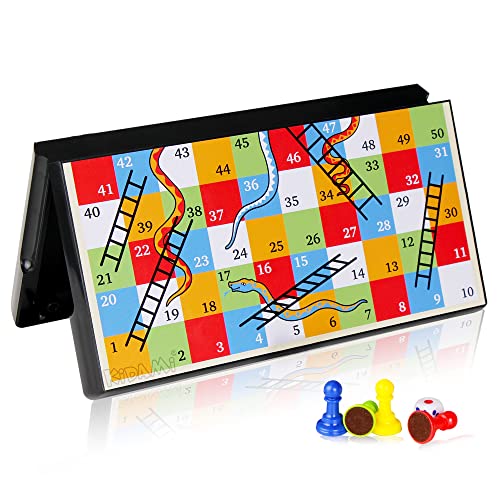 Magnetic Snakes & Ladders game
