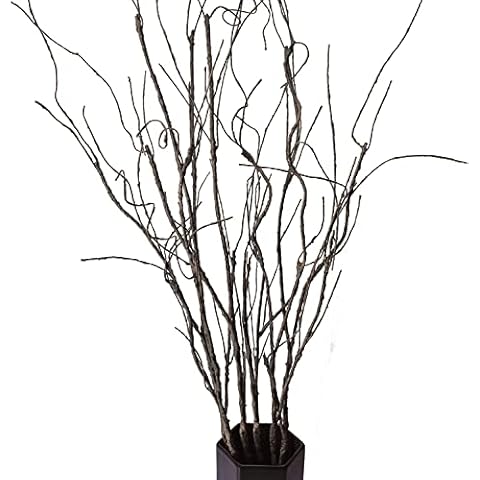 FeiLix 5PCS Artificial Curly Willow Branches, Decorative Dry Twigs, 30.7 Inches Fake Bendable Sticks Vintage Vines Stems DIY Craft Vases Artificial Flowers Garden Hotel Office Home Farmhouse Decor Cover