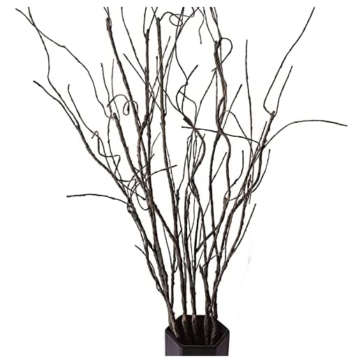 FeiLix 5PCS Artificial Curly Willow Branches, Decorative Dry Twigs, 30.7 Inches Fake Bendable Sticks Vintage Vines Stems DIY Craft Vases Artificial Flowers Garden Hotel Office Home Farmhouse Decor
