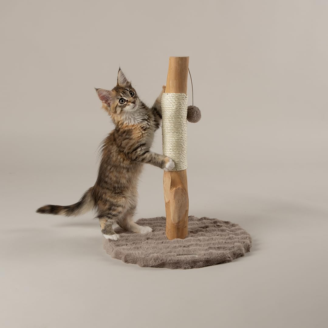 Scruffs Andes "My First" Cat Scratching Tree