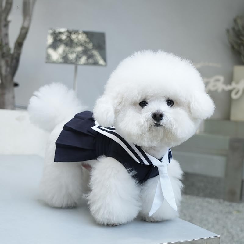 Vestido Princesa para Perros Pequeños Azul Talla X-Large miniatura 3