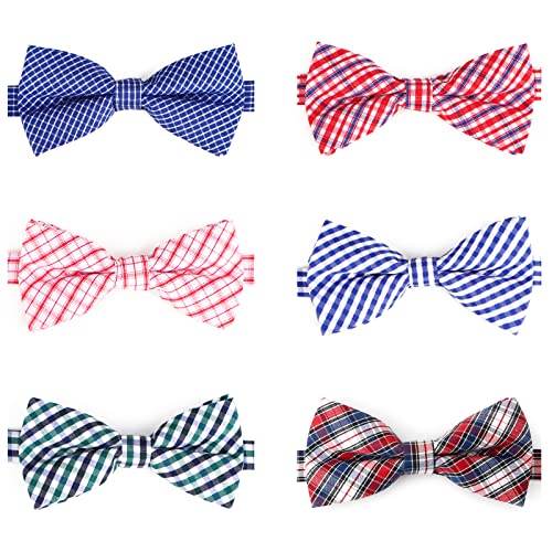 JUNENTER qplN^C 10 plN^C oNzf[ Lp O[~OplN^C ybgʐ^Be tFXeBo p[eB[ pMtg L[gŃ`FbN