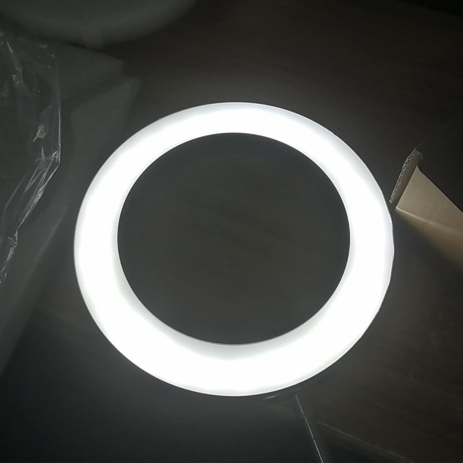 AMONIDA Lupa LED 10X con Brazo Flexible de Brillo Ajustable para Tareas Detalladas en el Banco de Trabajo, 1 Unidad (White)