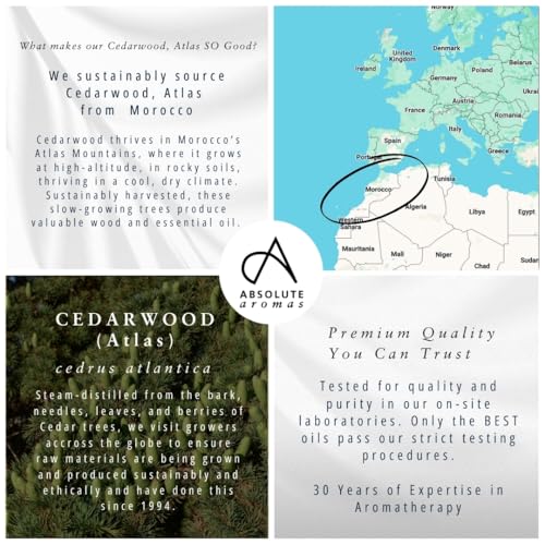 Absolute Aromas Cedarwood Essential Oil 10ml - Pure, Natural, Undiluted, Cruelty Free and Vegan – for Aromatherapy, Diffusers and DIY Beauty Recipes - Image 3