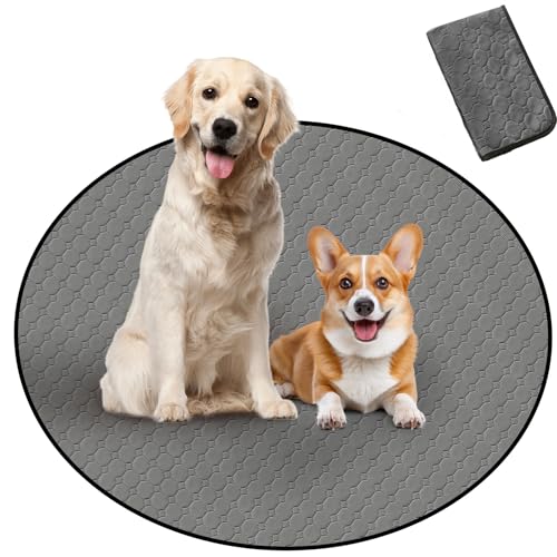 Para Sora 􂦂 ybgV[c ی^ L p(a120cm 1) ~ h ybg}bg p`ybgT[NɍœK z L V[c ld\ Rh~  JԂgp\(_[NO[)