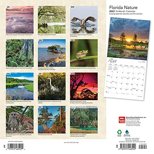 Florida-Nature-2023-12-x-24-Inch-Monthly-Square-Wall-Calendar-Foil-Stamped-Cover-BrownTrout-USA-United-States-of-America-Southeast-State