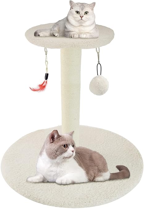 cat sleeping tower