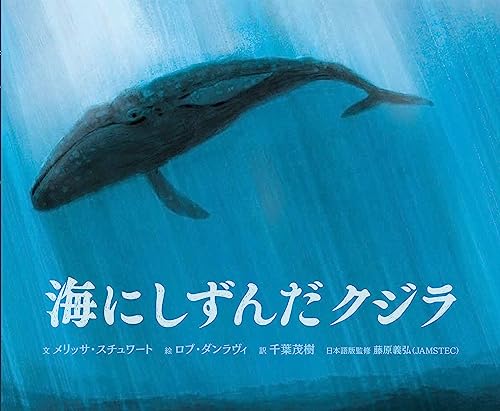 海にしずんだクジラ
