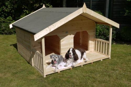 2 dog kennel
