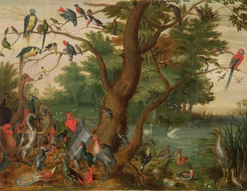 Concert d'oiseaux Toile Jan Van Kessel pour Réveiller un Mur Vide 60x90