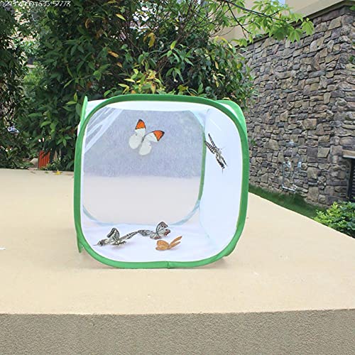 Kuashidai Mesh Cage Butterfly Habitat Cage, Mesh Net for Foldable Cage Seedling Incubator for Garden Feeding