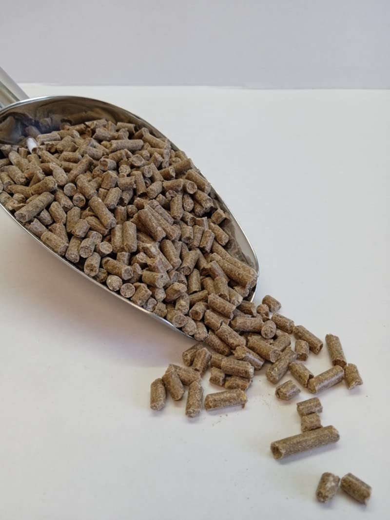 Natusat Lievito di birra attivo, pellet con diatomite, mangime complementare per cavalli, cura del pelo (8 kg)