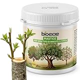 bioexxe mastice 500 gr per innesti e potature - cicatrizzante per piante con resine vegetali, mastice cicatrizzante per potature e ferite, pasta protettiva ferite vegetali uso giardino orto bonsai