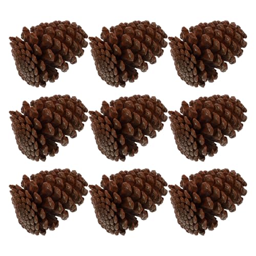 Homoyoyo 9 Stück Teiliges Natürliche Kiefernzapfen Groß Dekorative...