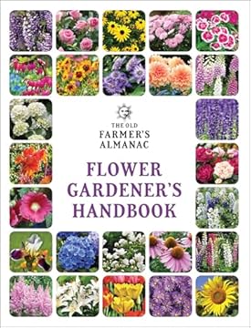 best flowers for sun and heat
