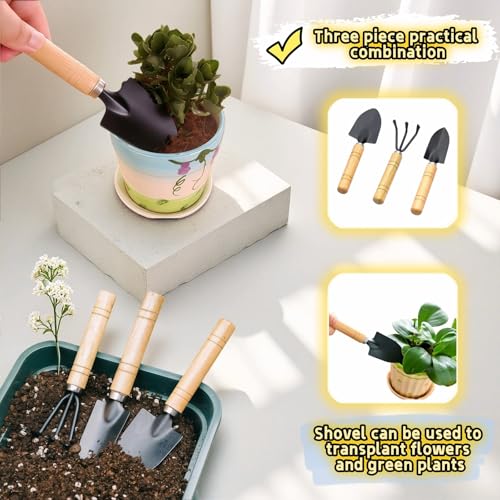 Set mini de herramientas para jardinería interior 3 piezas miniatura 3