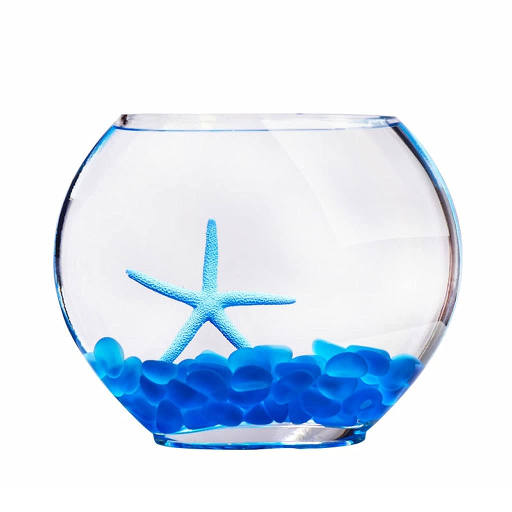 Acuario，Clásico Tanque de Peces de Acuario，. Acuario pequeño de Escritorio Creativo for Oficina, hogar, Escritorio, Vidrio, Peces Dorados, Peces Ornamentales, Decoraciones paisajísticas for acuarios,