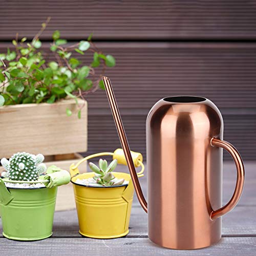 Regadera de acero inoxidable de 1,5 L, boquilla larga, multifuncional, para jardín, diseño de flores, plantas, para uso doméstico y exterior
