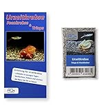urzeitkrebse englisch Triops longicaudatus und meist eine oder mehrere weitere Arten als Überraschung und Geschenk. Mit umfangreicher Anleitung mit vielen hilfreichen Informationen zum selber züchten