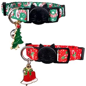 Cluos Katzenhalsbänder mit Glöckchen, 2 Stück
