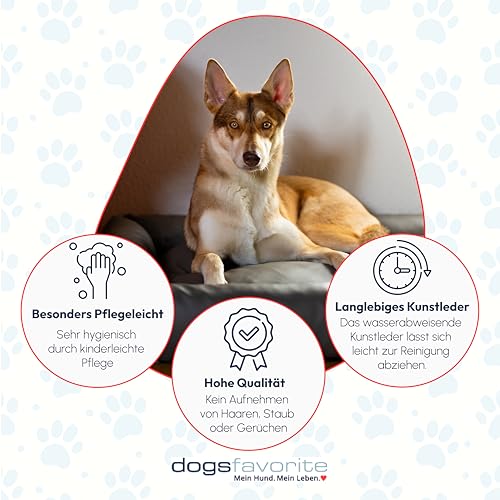 dogsfavorite, Hundebett Starter aus Kunstleder, Hundekissen, Pflegeleicht, 100 x 75 cm, orange