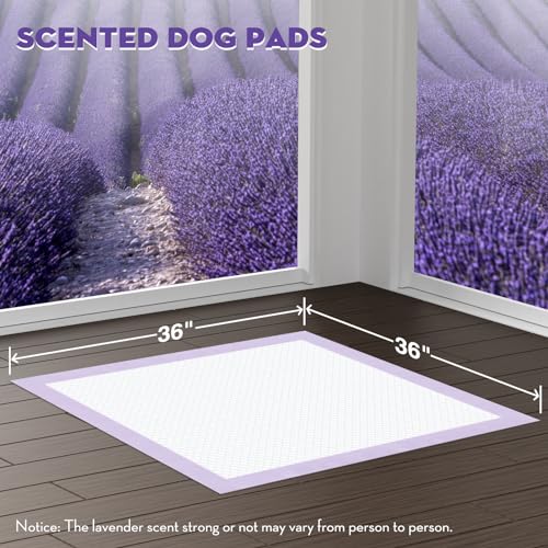 Image of CROCI Dog Pads Extra Large 36x36in, Puppy Pads with Adhesive Tabs Super Absorbent Up to 11 Cups, Disposable (30 Counts)