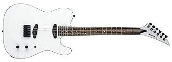 ギター FERNANDES TEJ-STD SH '19 SW  WHITE FERNANDES TEJ-STD SH '19 SW SNOW WHITE フェルナンデス : 愛曲