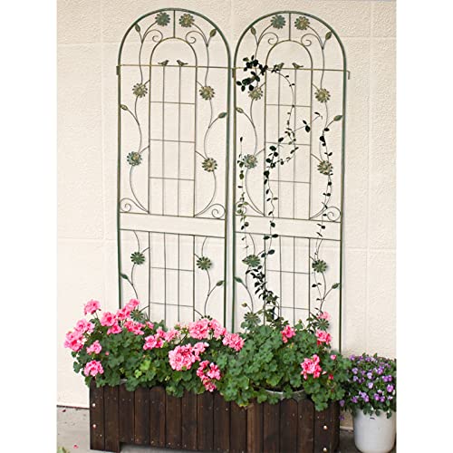 Clôture de jardin en métal de 180 cm pour créer un mur de fleurs de vigne