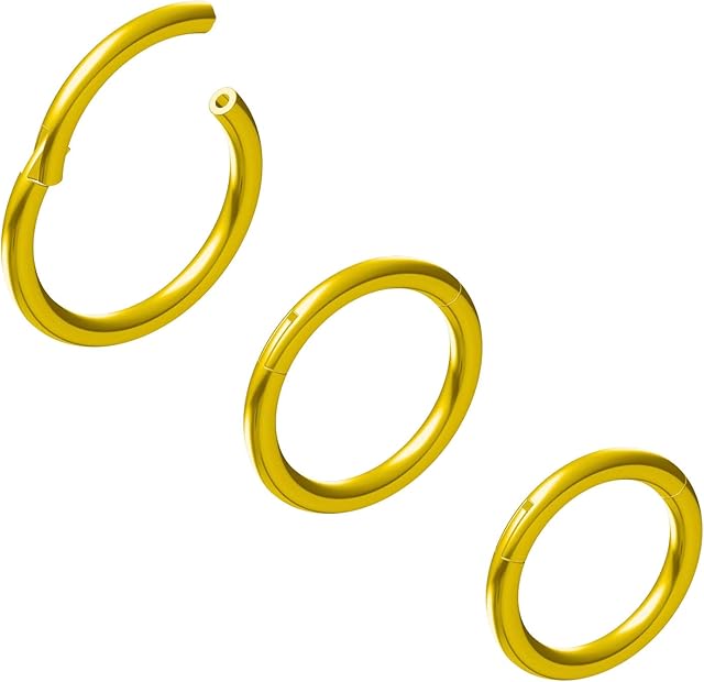 NewkeepsR 6G-8G-20G-18G-16G-14G-12G-10G 5/6/7/8/9/10/11/12/13/14/16mm 316L Steel Hinged Clicker Segment Septum Lip Nose Hoop Ring Helix Daith Cartilage Tragus