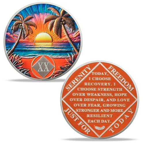 Imasoner 20 Year NA Sobriety Coin – Beach Serenity Recovery Medallion with Serenity Prayer | NA AA HA Chip for Narcotics & Alcoholics Anonymous | Sober Token Gift for Men & Women in Recovery