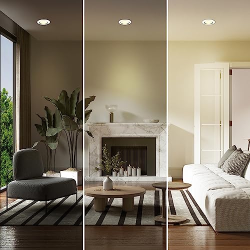 Feit Electric Led Br30 Light Bulbs, 65W Equivalent, Dimmable, 10 Year Life, 650 Lumens, 5000K Daylight, E26 Base Recessed Can Light Bulbs, Flood Light Bulbs, Damp Rated, 6 Pack, Br30Dm/850/10Kled/6 #TOP6