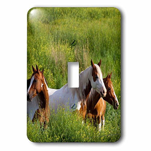 Chevaux sur la colline interrupteur mural imprimé déco équestre multicolore 3dRose - 2