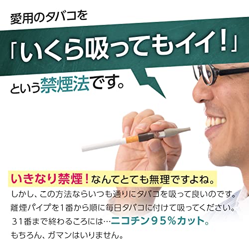 Rien Pipe Gr. Stop Smoking The Stress-Free Way—Reduce Nicotine Content By 3% Daily, Quit Smoking Within 31 Days (31 Pipes, 31-Day Kit) #TOP2