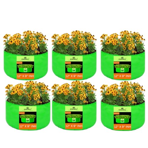 Image of Kingwell grow bags 12x9 inch pack of 6 Grow Bag For Terrace Garden Leafy Vegetable Plant Grow Bags Fruits Growing Containers For terrace Gardening