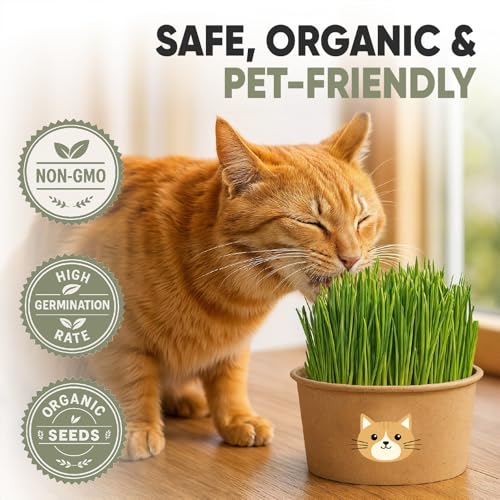 Image of Cat Grass Kit for Indoor Cats - x3 Seed Packets | Cat Grass Seeds with Recyclable Planter & Coconut Coir Expanding Soil Discs - Wheatgrass Grass