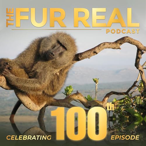 "BABOONS...POLITICS IN THE WILD" with Dr. Shirley Strum Podcast Por arte de portada