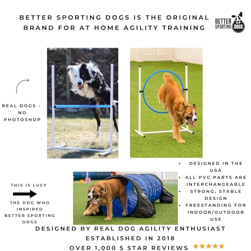 Entraînement d'agilité avec kit Better Sporting Dogs