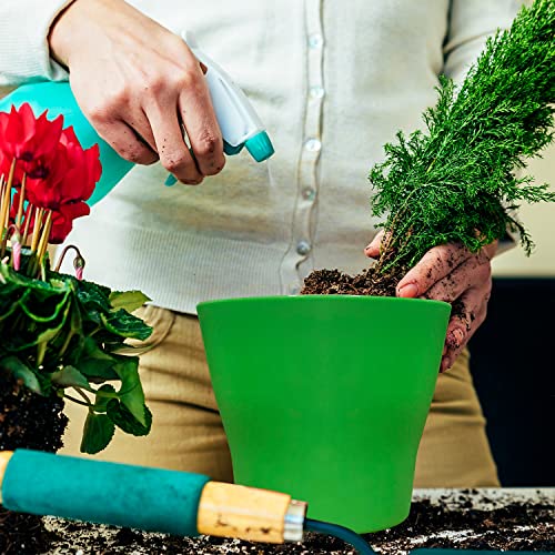 Dodheg 4 Inch Planter Nursery Pots, Plastic Planters Pots With Drainage Holes And Saucers, For Outdoor Indoor Plants Flower Transplanting, 10 Colors 10 Pieces. #TOP5