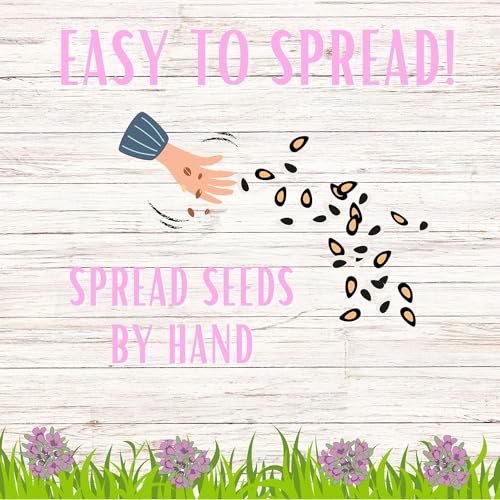 Flawn Seed Creeping Thyme Seed, Pollinator Friendly, Low Maintenance, Lawn Alternative, Ground Cover, Compostable Pouch, Covers Up to 2,000 SqFt