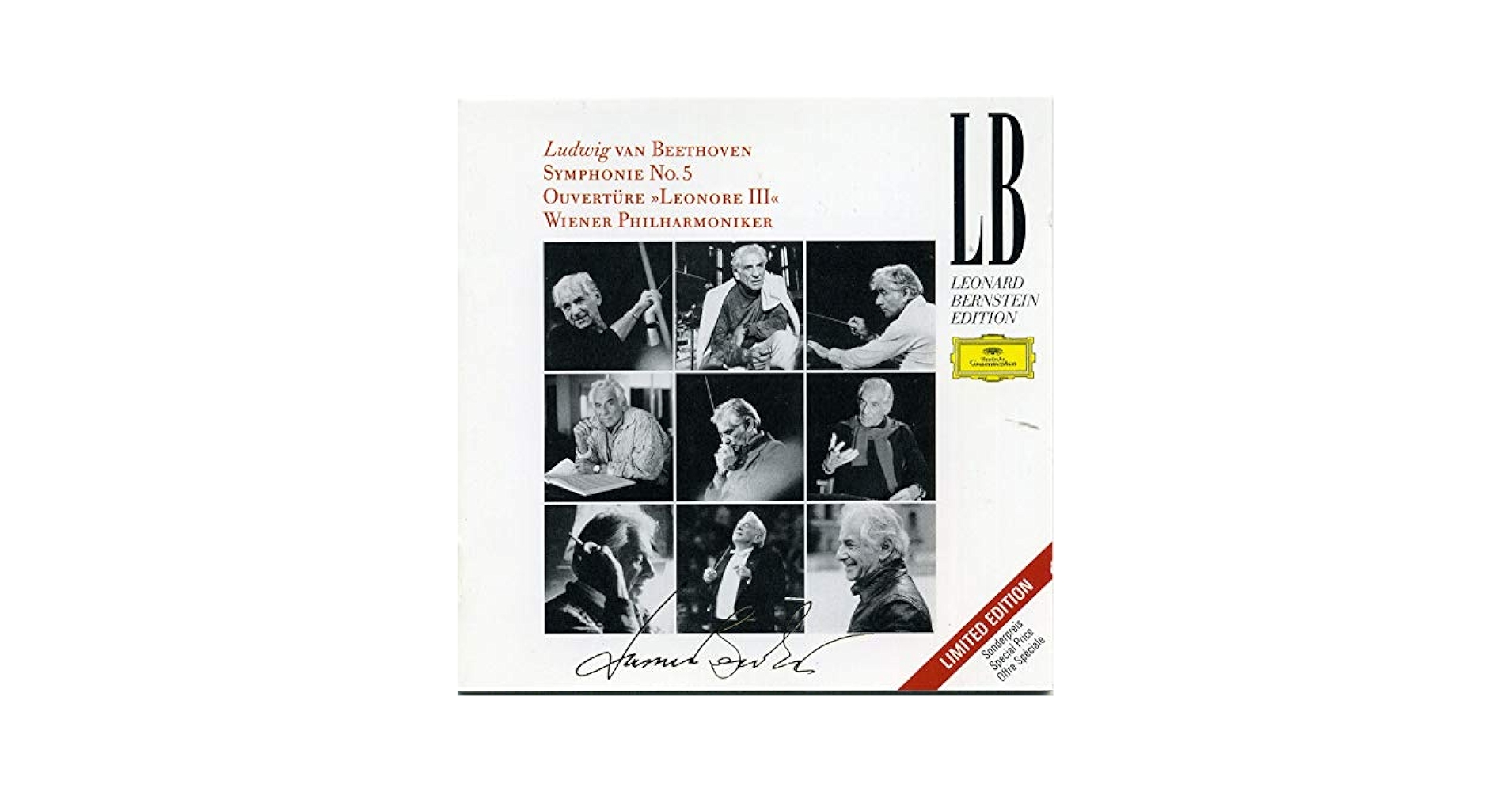 Beethoven, Ludwig van, Leonard Bernstein, Vienna