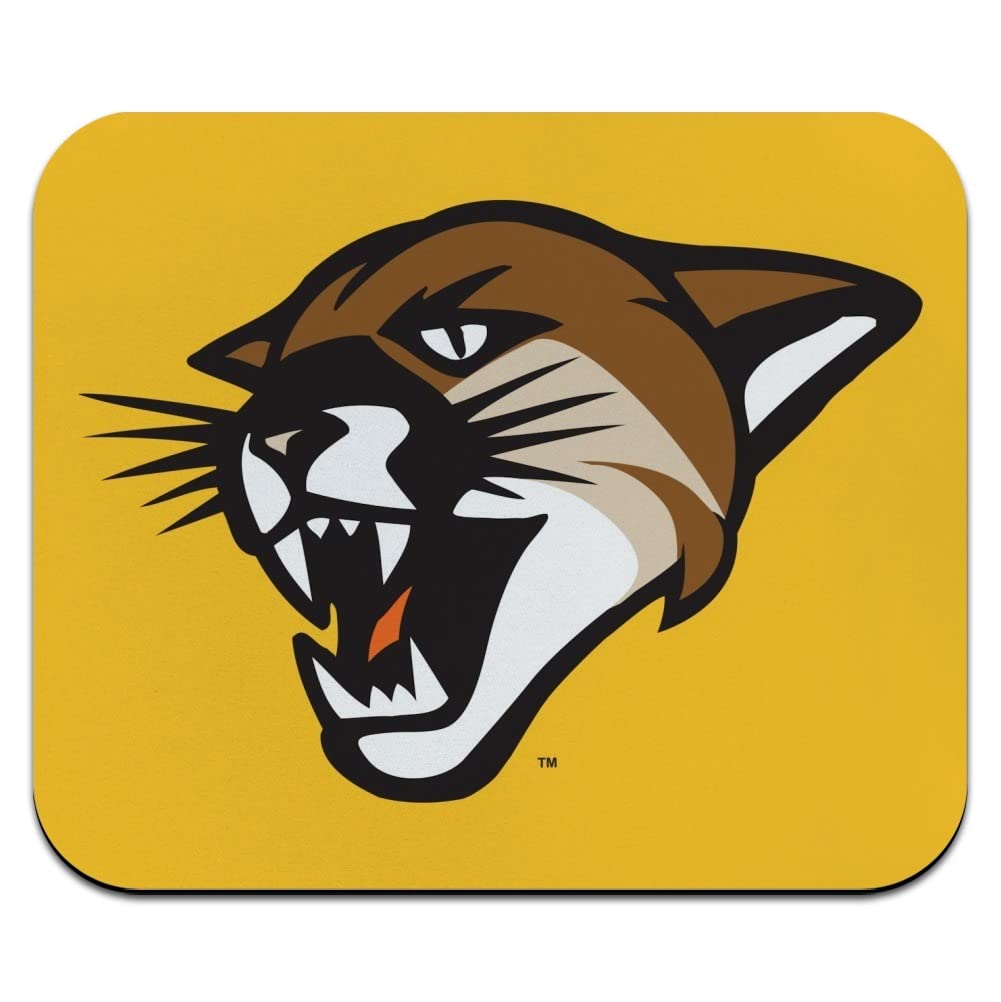 University of Vermont Secondary Low Profile Thin Mouse Pad Mousepad