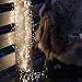 Produktbild Sirius KNIRKE 160LEDS Clear/Silver