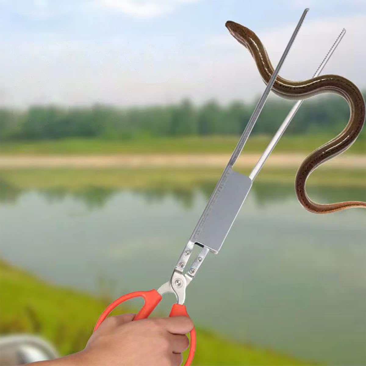 HANABASS Pinza per Granchi Multifunzione in Acciaio Inox Resistente Morsetto Antiscivolo, Tenaglia per Aragosta e Anguille, Strumento Leggero per Pesca e Raccolta in Esterno