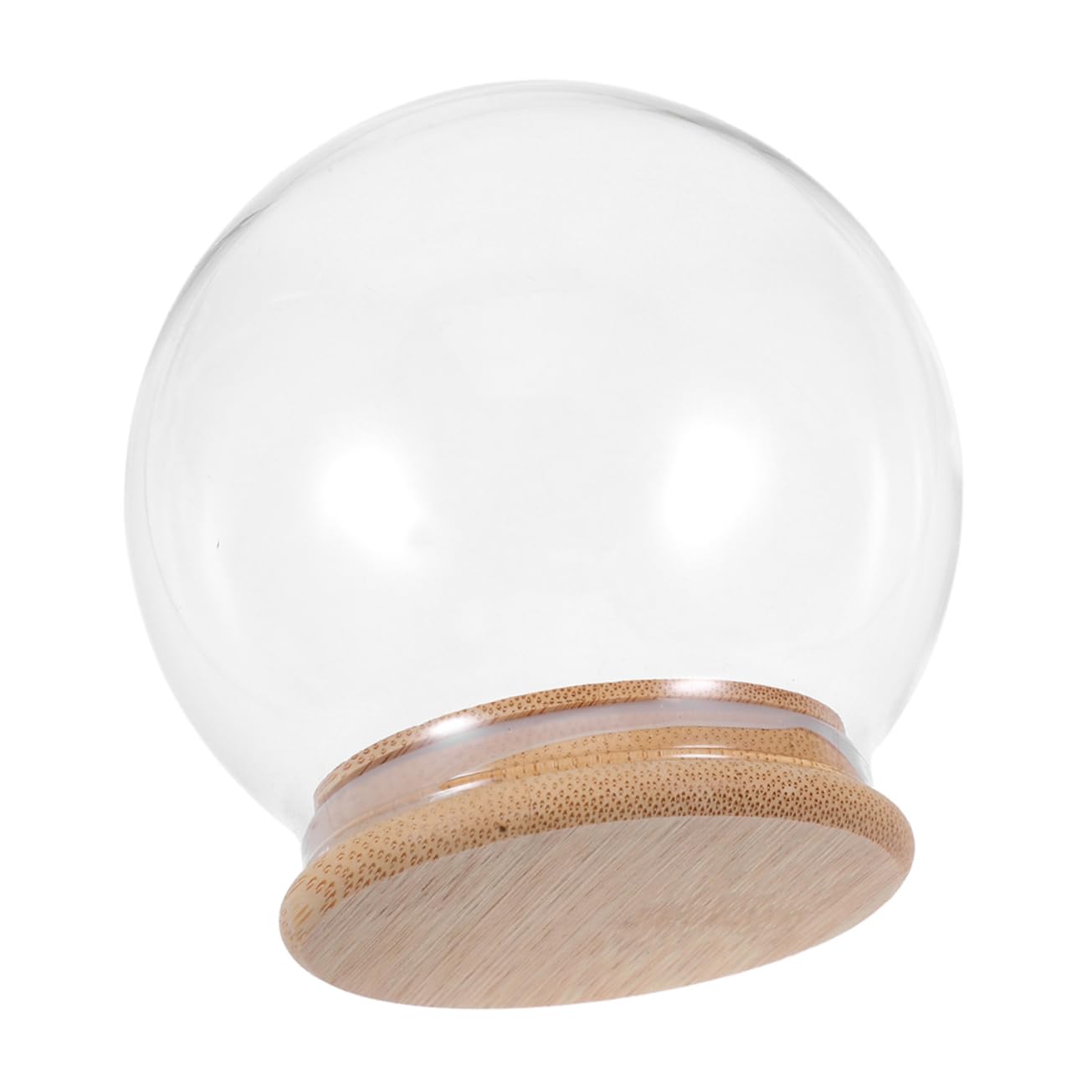 Cúpula de vidrio para flores preservadas con base de madera elegante