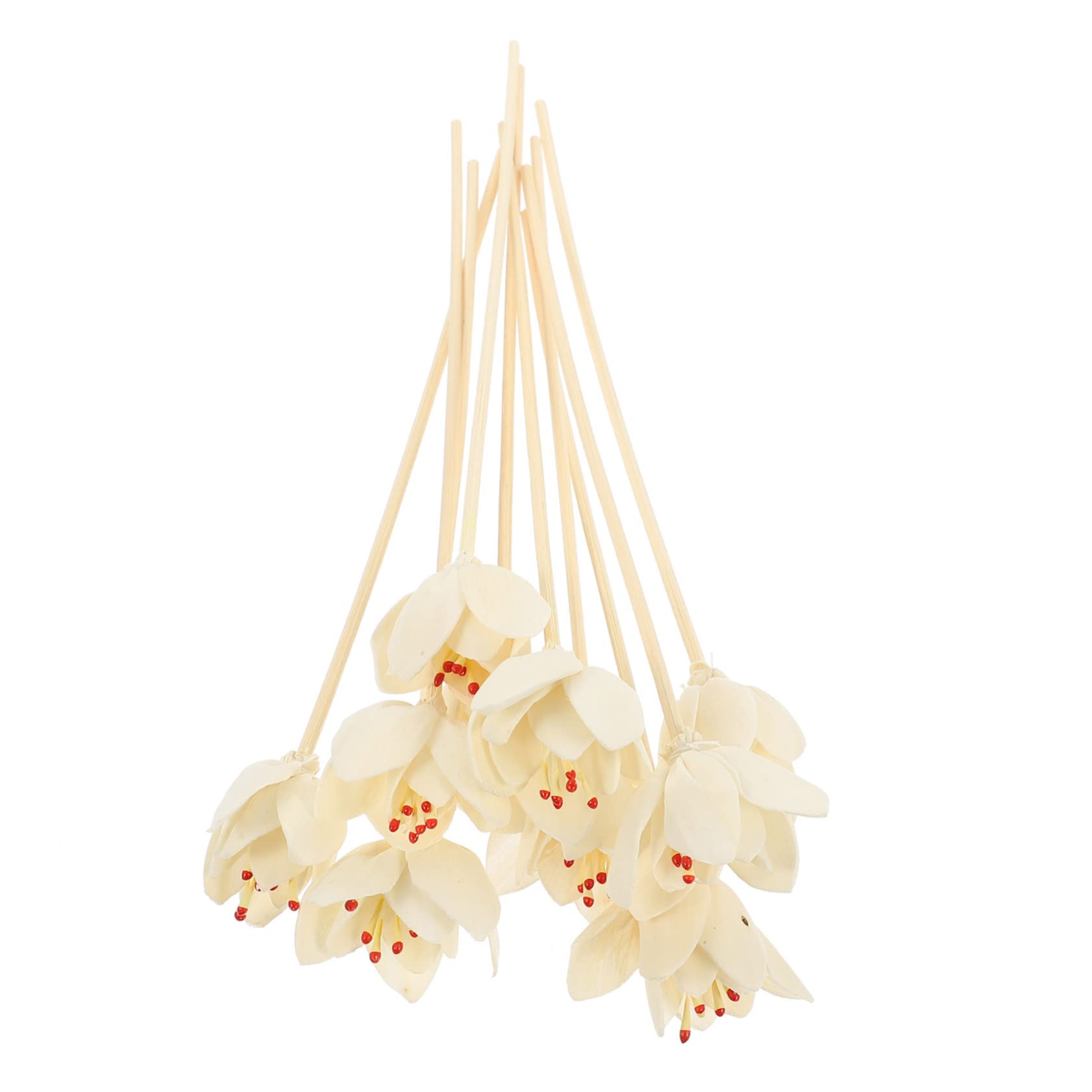 BESTOYARD 40stücke Duftdiffusor-Sticks Aus Trockenblumen Für Ätherische Öle Raumdekoration Für Schlafzimmer Wohnzimmer Und Wellnessbereiche Entspannende Aromatherapie Zubehör