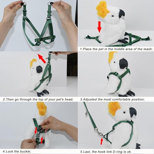ASOCEA Vogelgeschirr Und Leine FüR Papageien Verstellbares Federband Fliegendes Nylon-Laufseil Outdoor Anti-Biss-TrainingsträGer FüR Kleine Papageien Wellensittiche Wellensittiche Nymphensittiche