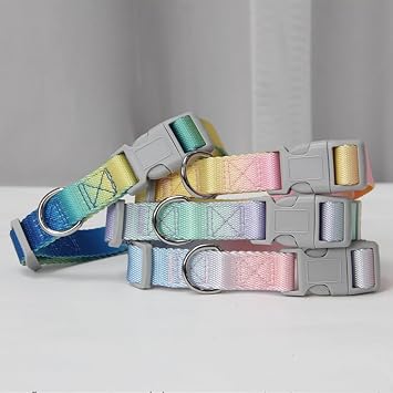 Rainbow Dog Leash with Padded Handle, Quick Release Metal Buckle, Durable Nylon Training Leash for Small to Medium Dogs, 72 Inches